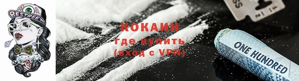 мдпв Лабытнанги