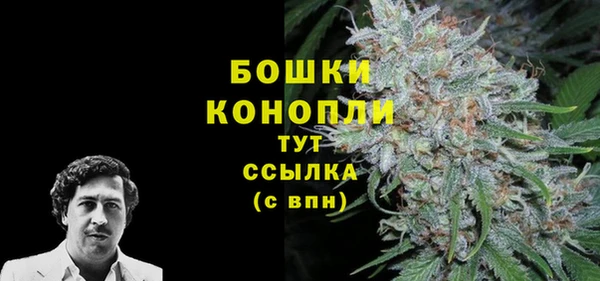 мдпв Лабытнанги