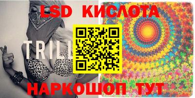 кокс Кингисепп