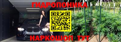 СК Кимры