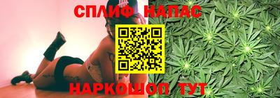 мяу мяу мука Абакан