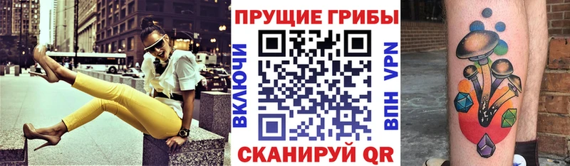 магазин продажи наркотиков  Усть-Илимск  Псилоцибиновые грибы Magic Shrooms 