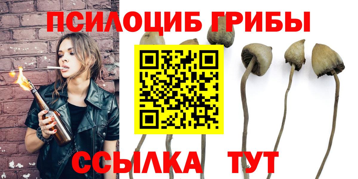 Псилоцибиновые грибы прущие грибы Усть-Илимск